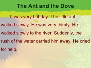 The Ant and the Dove
    It was very hot day. The little ant
walked slowly. He was very thirsty. He
walked slowly to the river. Suddenly, the
rush of the water carried him away. He cried
for help.
 
