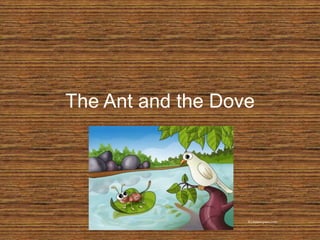 The Ant and the Dove 
Kidstimepass.com 
 