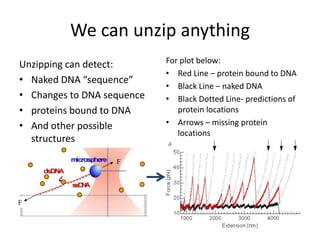 We can unzip anythingFFFor plot below:Red Line – protein bound to DNABlack Line – naked DNABlack Dotted Line- predictions of protein locationsArrows – missing protein locationsUnzipping can detect:Naked DNA “sequence”Changes to DNA sequenceproteins bound to DNAAnd other possible structures