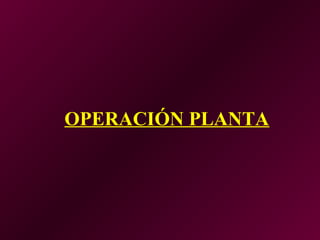 OPERACIÓN PLANTA
 