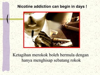 Faedah Rokok Antara nikmat rokok & kesihatan anda | PPT