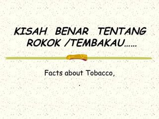 Faedah Rokok Antara nikmat rokok & kesihatan anda | PPT