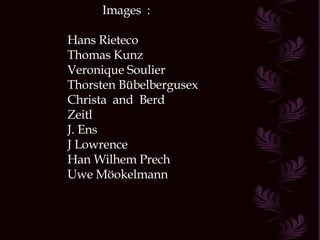 Images  : Hans Rieteco Thomas Kunz Veronique Soulier Thorsten Bübelbergusex Christa  and  Berd Zeitl J. Ens J Lowrence Han Wilhem Prech Uwe Möokelmann 