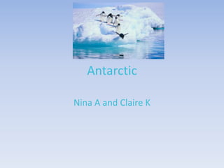 Antarctic
Nina A and Claire K
 