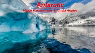 Antarctic
Mateo Karnisauskis & Ignasi Argilès
 