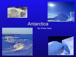 Antarctica By Chloe Hass 
