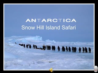 ANTARCTICA Snow Hill Island Safari 