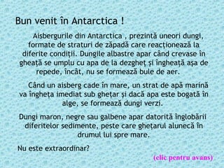 Bun venit în Antarctica !
      Aisbergurile din Antarctica , prezintă uneori dungi,
    formate de straturi de zăpadă care reacţionează la
  diferite condiţii. Dungile albastre apar când crevase în
 gheaţă se umplu cu apa de la dezgheţ şi îngheaţă aşa de
       repede, încât, nu se formează bule de aer.    
     Când un aisberg cade în mare, un strat de apă marină
 va îngheţa imediat sub gheţar şi dacă apa este bogată în
              alge, se formează dungi verzi.
 Dungi maron, negre sau galbene apar datorită înglobării
  diferitelor sedimente, peste care gheţarul alunecă în
                  drumul lui spre mare.
 Nu este extraordinar?
                                         (clic pentru avans)
 