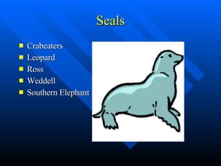 Seals Crabeaters Leopard Ross Weddell Southern Elephant 