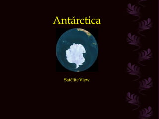 Antárctica
Satélite View
 