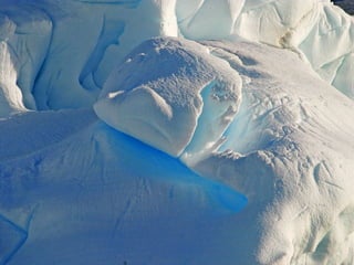 Antartica