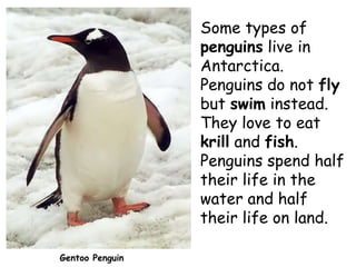 Some types of
penguins live in
Antarctica.
Penguins do not fly
but swim instead.
They love to eat
krill and fish.
Penguins...