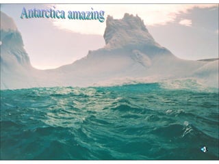 Antarctica amazing 