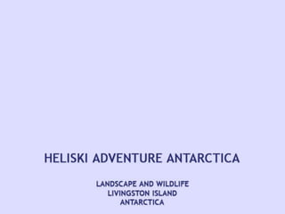 Antarctica patagonia-x