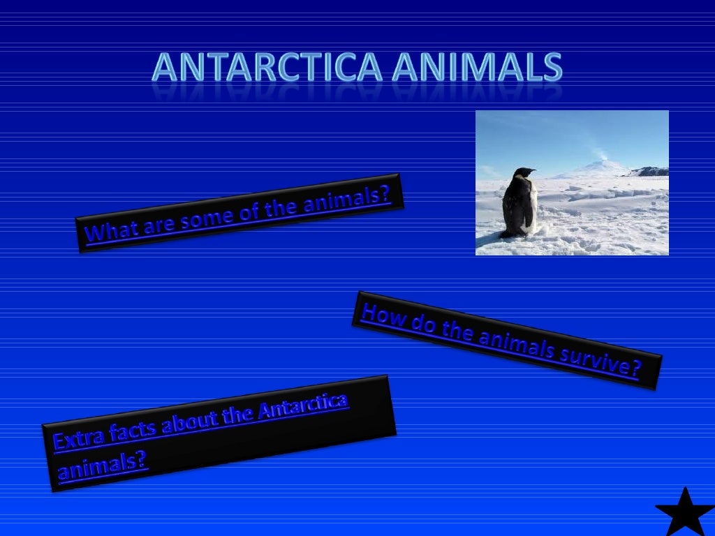 antarctica-powerpoint
