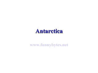 Antarctica www.funnybytes.net 