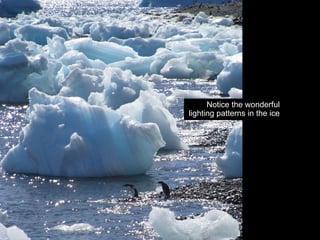 Notice the wonderful
lighting patterns in the ice
 