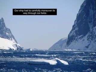 Our ship had to carefully maneuver its
        way through ice fields
 