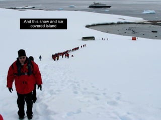 And this snow and ice
   covered island
 