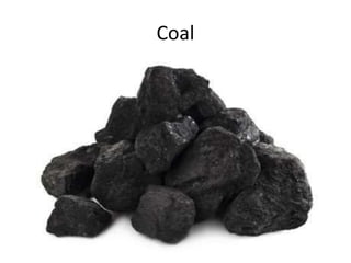 Coal
 