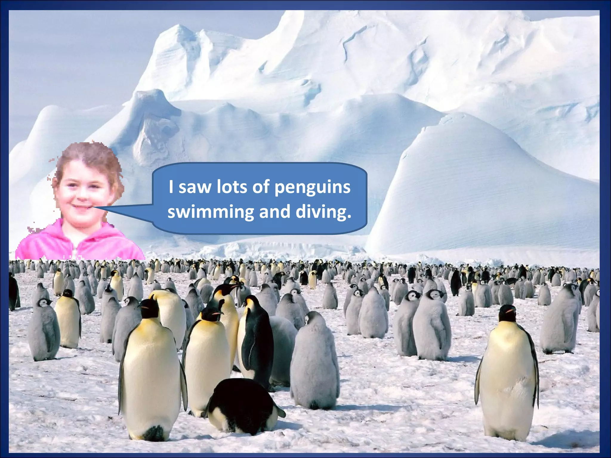 I saw lots of penguins swimming and diving. 