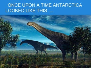 ONCE UPON A TIME ANTARCTICA
LOOKED LIKE THIS ....
 