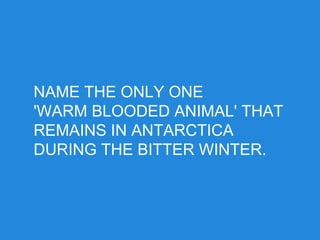NAME THE ONLY ONE
'WARM BLOODED ANIMAL' THAT
REMAINS IN ANTARCTICA
DURING THE BITTER WINTER.
 