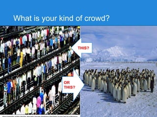 What is your kind of crowd?
OR
THIS?
THIS?
 