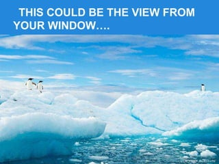 THIS COULD BE THE VIEW FROM
YOUR WINDOW….
 