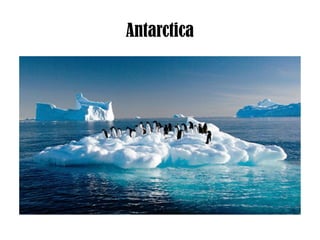 Antarctica
 