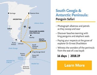 South Geogia 
Antarctic Peninsula:
Penguin Safari
• Photograph albatross and petrels 			
as they swoop and soar
• Discover beaches teeming with 		
king penguins and elephant seals
• Paying your respects at the grave of 	
explorer Sir Ernest Shackleton
• Witness the wonders of the peninsula
from the seat of a sea kayak
Learn More
16 days | 2018.19
 