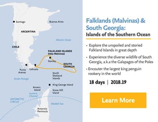 Falklands (Malvinas) 
South Georgia:
Islands of the Southern Ocean
• Explore the unspoiled and storied 		
Falkland Islands in great depth
• Experience the diverse wildlife of South
Georgia, a.k.a the Galapagos of the Poles
• Encouter the largest king penguin 		
rookery in the world
Learn More
18 days | 2018.19
 