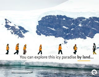 You can explore this icy paradise by land...
 