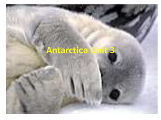 Antarctica Unit 3
 