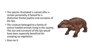 • The species illustrated is named after a
certain personality X famed for a
distinctive frontal jawline and curvature of
the lips.
• The creature belonged to a family of
extinct hoofed animals living in the swamp.
The size and curvature of the lips would
have been especially beneficial for
scooping up vegetation.
• Give me X.
 