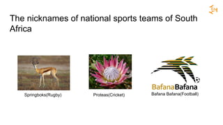 The nicknames of national sports teams of South
Africa
Springboks(Rugby) Proteas(Cricket) Bafana Bafana(Football)
 