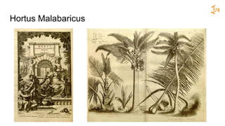 Hortus Malabaricus
 