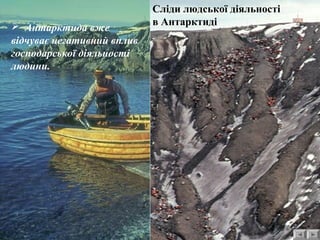 Полювання на тюленів 
 Антарктида вже 
відчуває негативний вплив 
господарської діяльності 
людини. 
Сліди людської діяльності 
в Антарктиді 
 