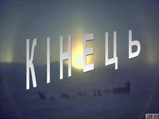 Antarktida-organіchnij-svіt