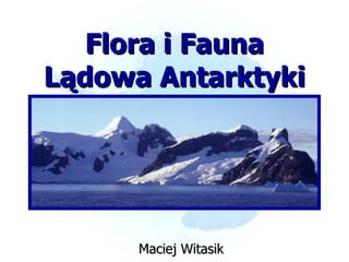 Flora i Fauna Lądowa Antarktyki ,[object Object]