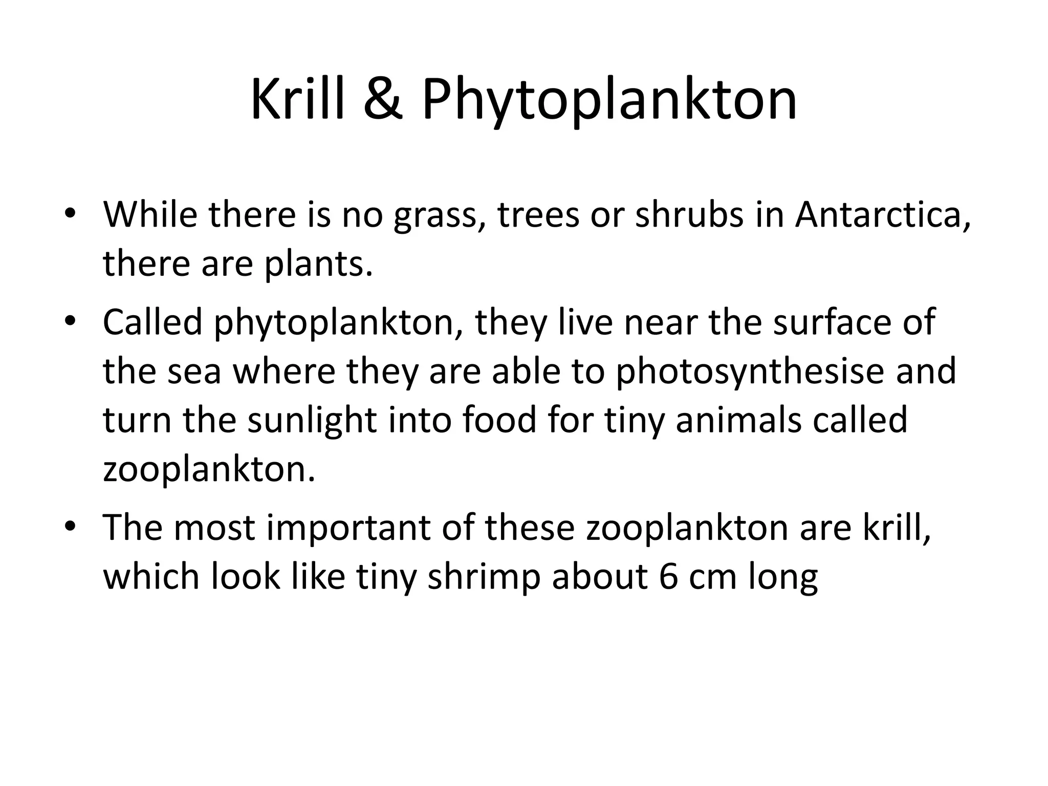 Krill & Phytoplankton
• While there is no grass, trees or shrubs in Antarctica,
there are plants.
• Called phytoplankton, they live near the surface of
the sea where they are able to photosynthesise and
turn the sunlight into food for tiny animals called
zooplankton.
• The most important of these zooplankton are krill,
which look like tiny shrimp about 6 cm long
 