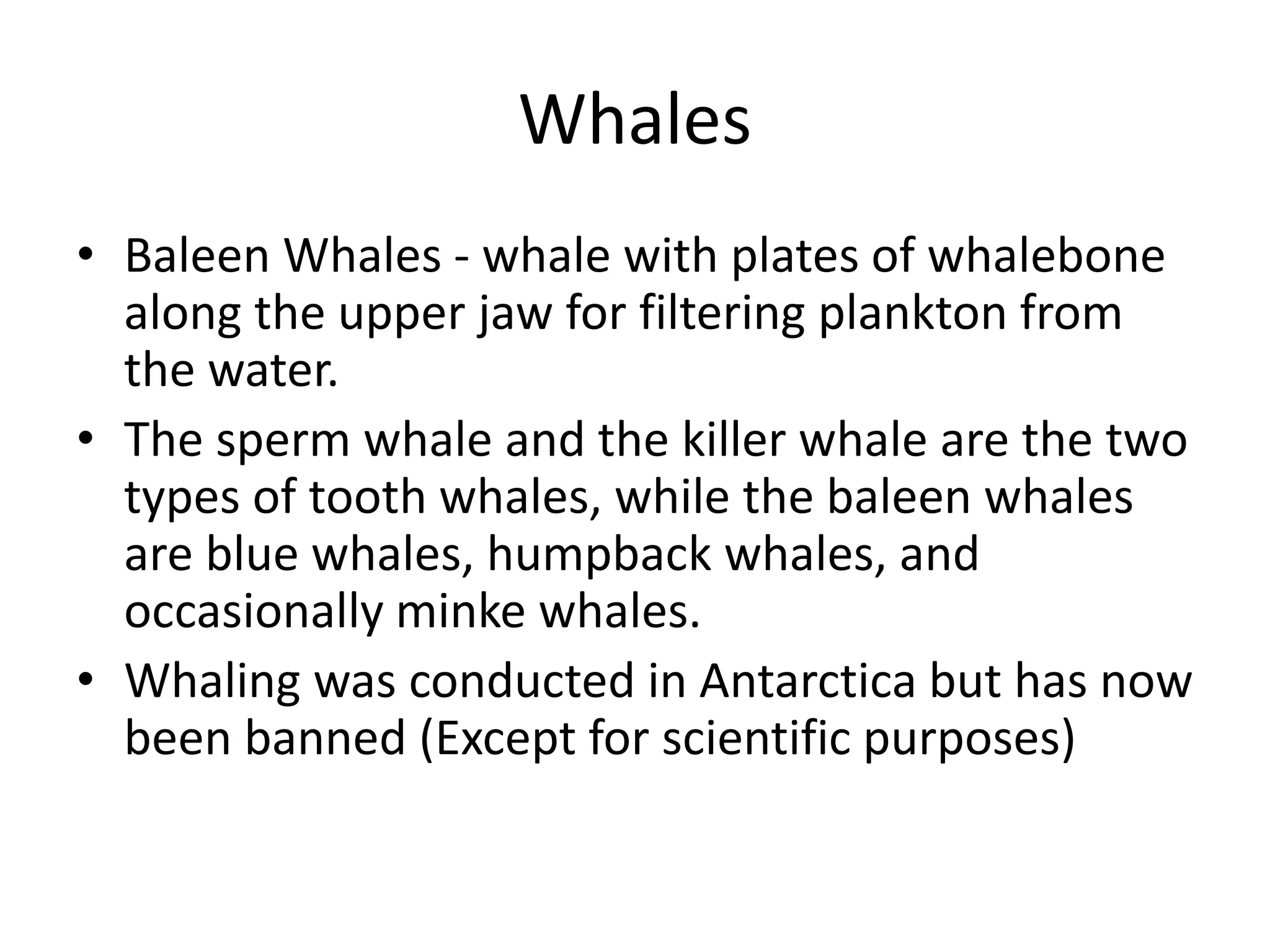Whales
• Baleen Whales - whale with plates of whalebone
along the upper jaw for filtering plankton from
the water.
• The sperm whale and the killer whale are the two
types of tooth whales, while the baleen whales
are blue whales, humpback whales, and
occasionally minke whales.
• Whaling was conducted in Antarctica but has now
been banned (Except for scientific purposes)
 