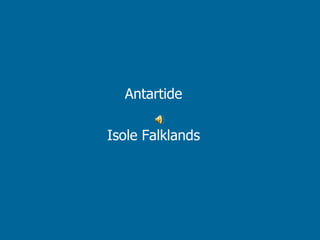 Antartide Isole Falklands 