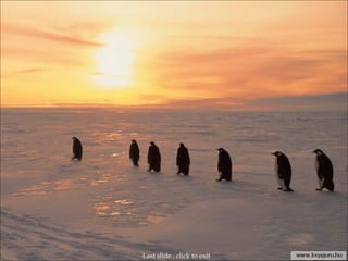 Last slide , click to exit 