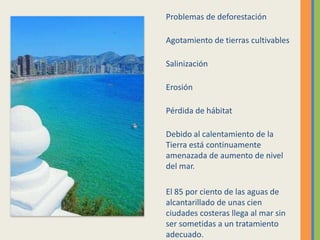 Problemas de deforestación
Agotamiento de tierras cultivables
Salinización
Erosión
Pérdida de hábitat
Debido al calentamiento de la
Tierra está continuamente
amenazada de aumento de nivel
del mar.
El 85 por ciento de las aguas de
alcantarillado de unas cien
ciudades costeras llega al mar sin
ser sometidas a un tratamiento
adecuado.
 