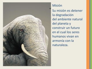 Misión
Su misión es detener
la degradación
del ambiente natural
del planeta y
construir un futuro
en el cual los seres
humanos vivan en
armonía con la
naturaleza.
 