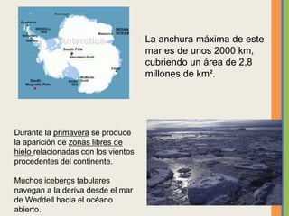 La anchura máxima de este
mar es de unos 2000 km,
cubriendo un área de 2,8
millones de km².
Durante la primavera se produce
la aparición de zonas libres de
hielo relacionadas con los vientos
procedentes del continente.
Muchos icebergs tabulares
navegan a la deriva desde el mar
de Weddell hacia el océano
abierto.
 