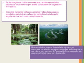 • En ésta región se divide en numerosos canales secundarios,
separados unos de otros por islotes compuestos de vegetación
muy densa.
• En éstas zonas las orillas son amplias y abundan pantanos
inundados que derivan en lagunas cubiertas de exuberante
vegetación que se inunda periódicamente.
A lo largo de todo el curso del río suele haber inundaciones
estacionales. Los afluentes que surgen desde el sur suelen alcanzar su
nivel máximo entre los meses de Febrero y Abril, mientras que los que
provienen del norte lo hacen entre Junio y Julio.
 