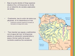 • Bajo el punto donde el Xingú aparece
desde el Sur, el Amazonas se divide
en un laberinto de canales salpicados
de islotes.
• Finalmente, tras la unión de todos sus
afluentes, el río desemboca al mar.
– Poderosa corriente oceánica lo arrastra al
Noroeste a lo largo de la costa.
• Tras mezclar sus aguas y sedimentos
con el agua del mar, el Amazonas
pierde su coloración característica y
pasa a formar parte de la gran
corriente oceánica Sur-ecuatorial.
 