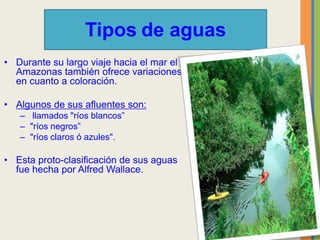 Tipos de aguas
• Durante su largo viaje hacia el mar el
Amazonas también ofrece variaciones
en cuanto a coloración.
• Algunos de sus afluentes son:
– llamados "ríos blancos”
– "ríos negros”
– "ríos claros ó azules".
• Esta proto-clasificación de sus aguas
fue hecha por Alfred Wallace.
 